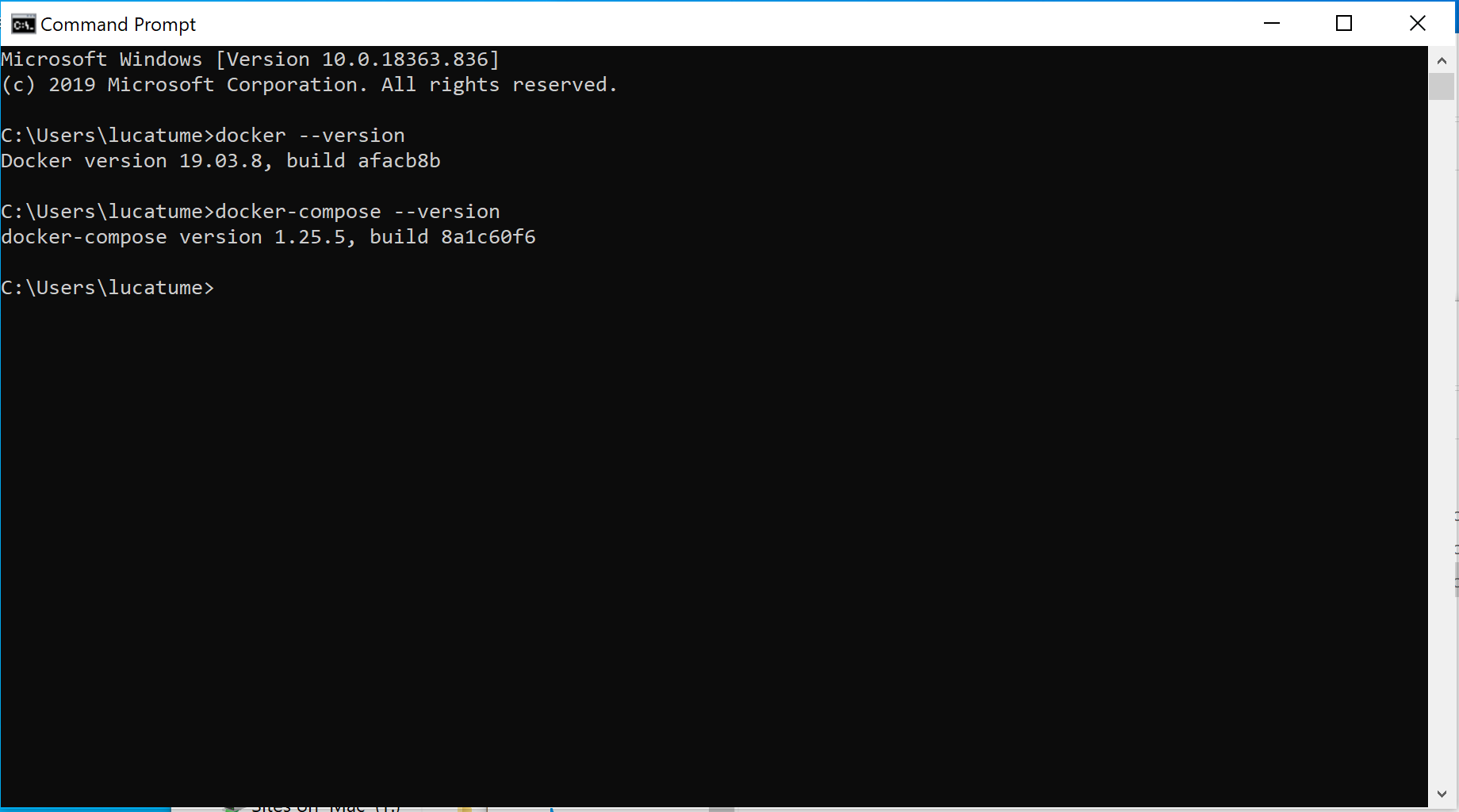 docker binaries versions in Windows terminal